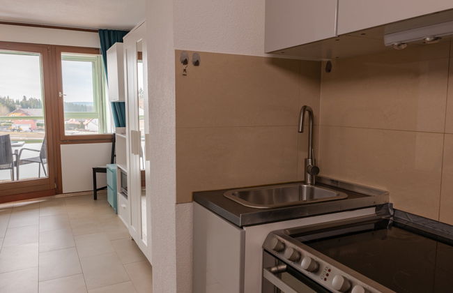 Apartamento de 1 quarto em Löffingen com piscina - Foto 10