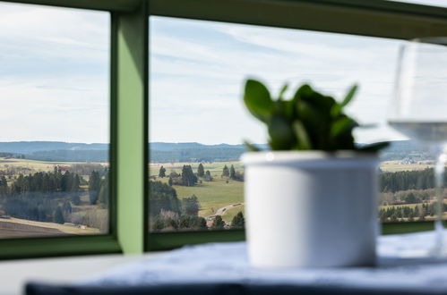 Photo 9 - Appartement en Löffingen avec piscine et vues sur la montagne