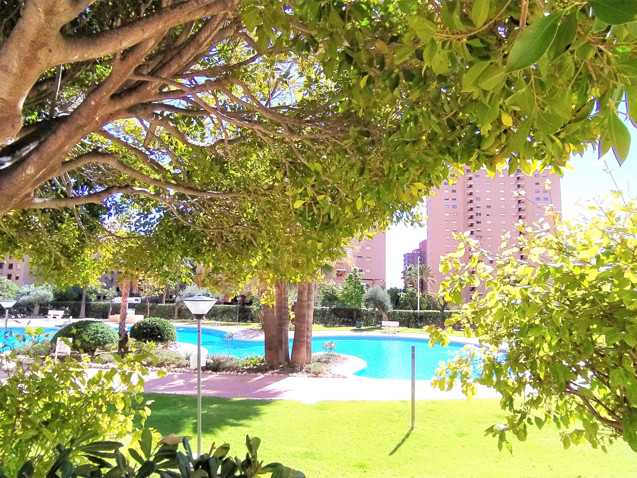 Photo 31 - Appartement de 1 chambre à Benidorm avec piscine et jardin