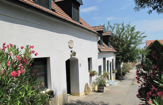 Casa de 3 quartos em Mörbisch am See com terraço - Foto 9