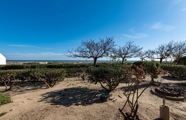Apartamento de 2 quartos em Leucate - Foto 29