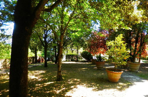 Foto 5 - Fattoria Il Milione