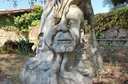 Foto 15 - Fattoria Il Milione