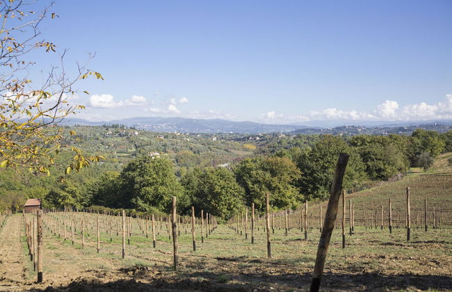 Fattoria Il Milione - Photo 7