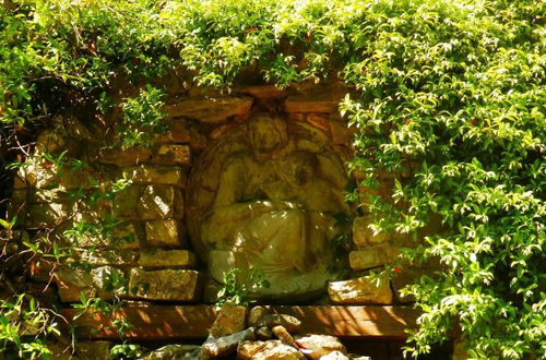 Foto 65 - Fattoria Il Milione