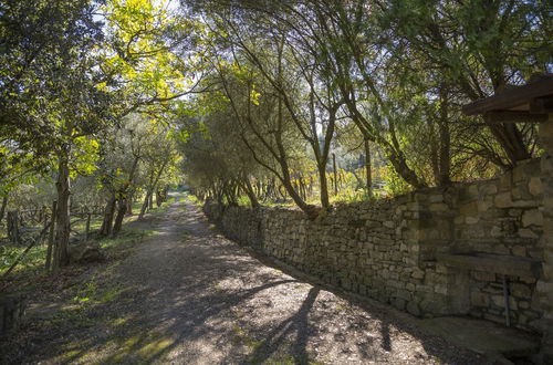 Foto 10 - Fattoria Il Milione