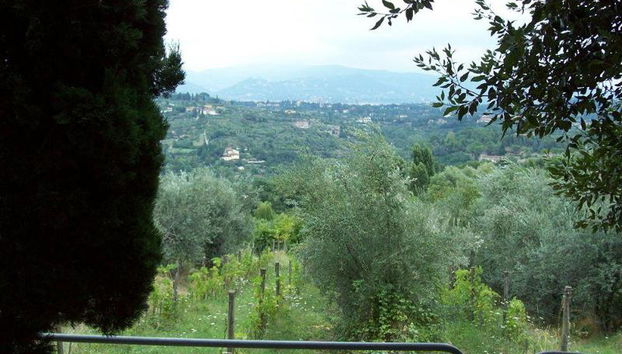 Fattoria Il Milione - Foto 2