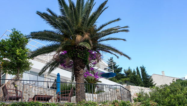 Apartments Villa Mirjana - Foto 3