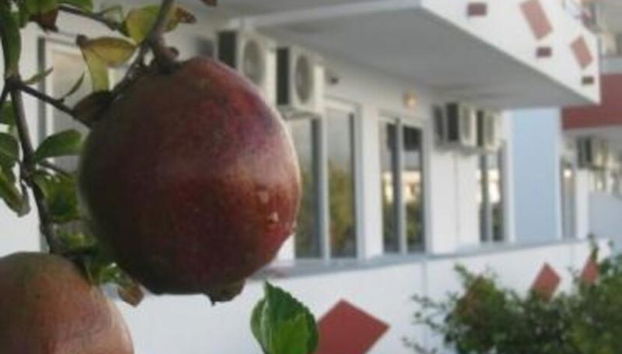 Stenna Apartments - Foto 3