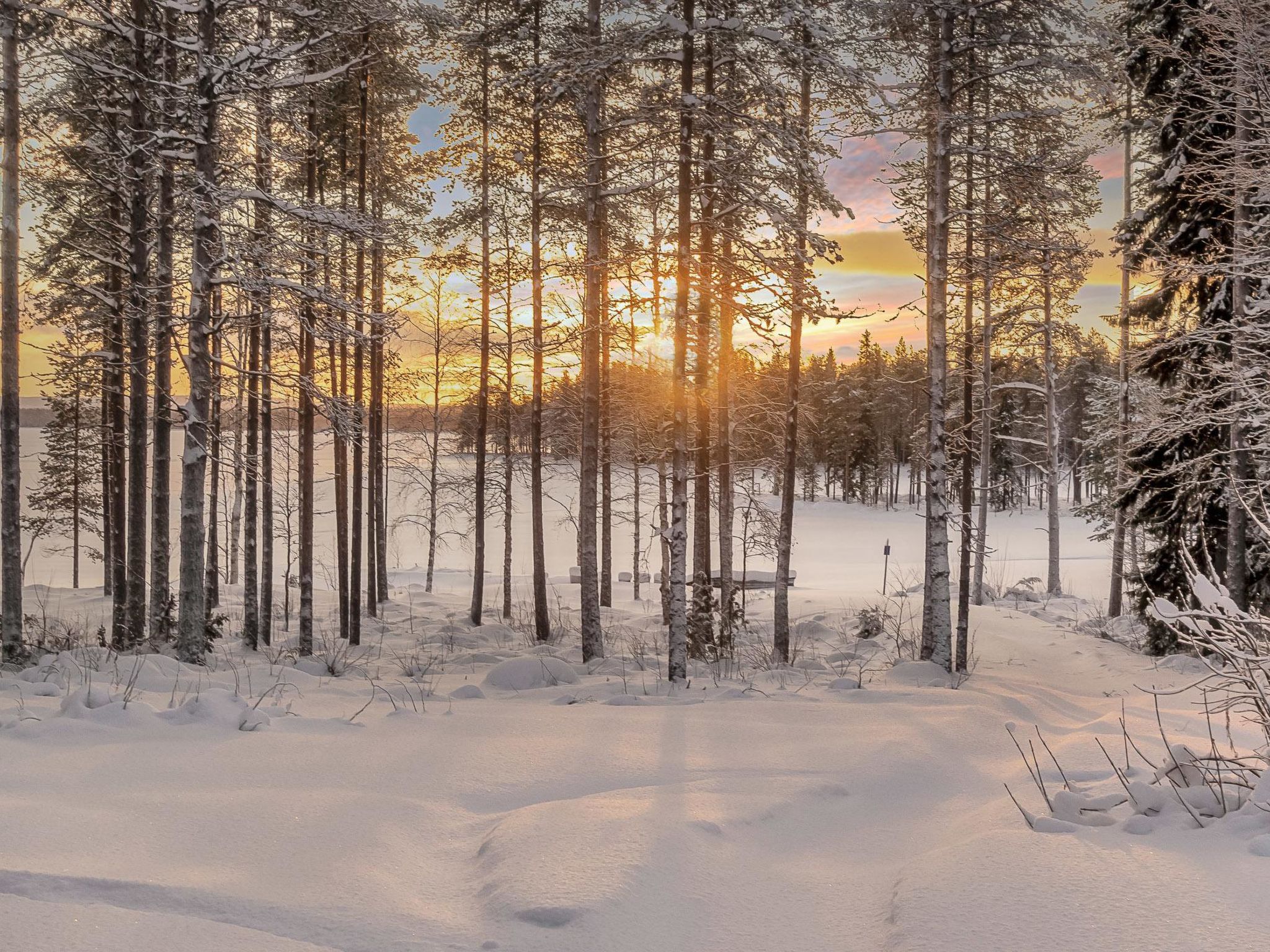Foto 24 - Casa de 3 habitaciones en Rovaniemi con sauna y vistas a la montaña