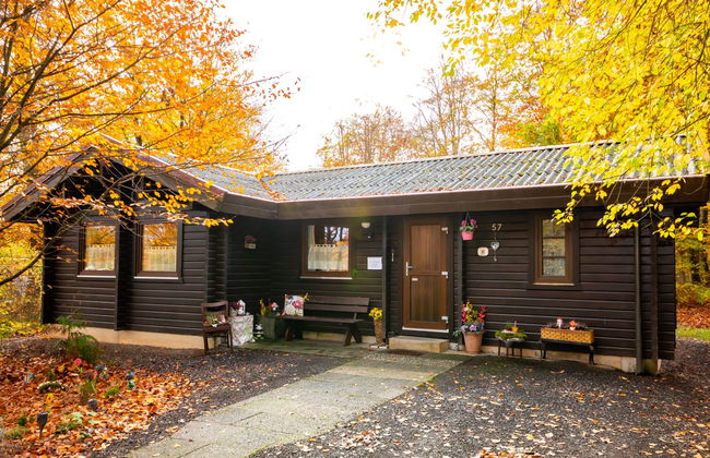 Casa de 3 quartos em Bad Arolsen com jardim e terraço - Foto 27