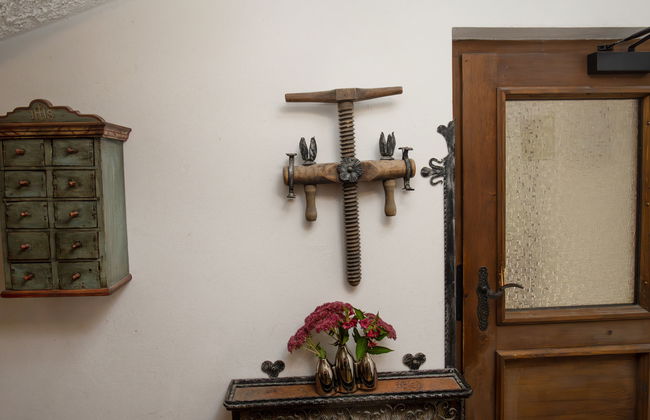 Apartamento de 3 quartos em Wagrain com jardim - Foto 9