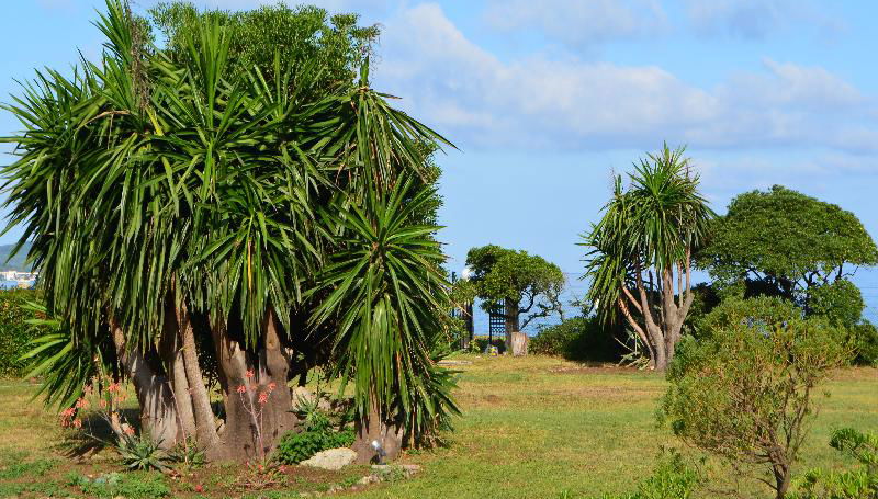 Akti Anastasia - Foto 1