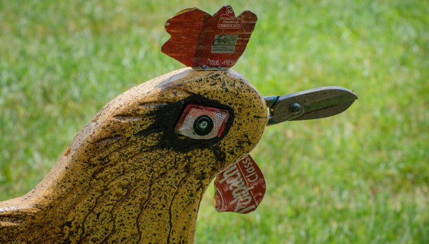 Rooster Guesthouse Rooms - Foto 4