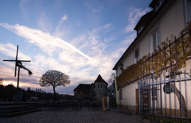 Ptuj and Maribor City with Optional Wine Tasting - Full-Day Tour - Photo 2