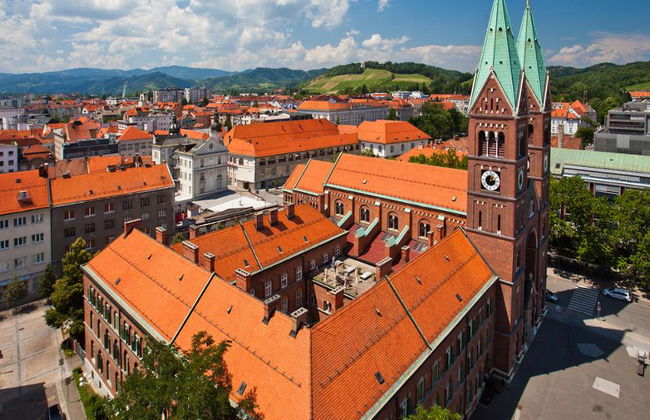 Ptuj and Maribor City with Optional Wine Tasting - Full-Day Tour - Photo 4