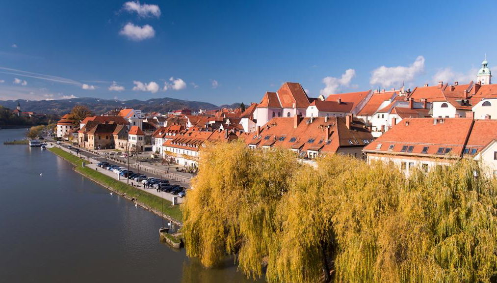 Ptuj et Maribor - Excursion d'une journée complète avec dégustation de vins en option - Photo 1