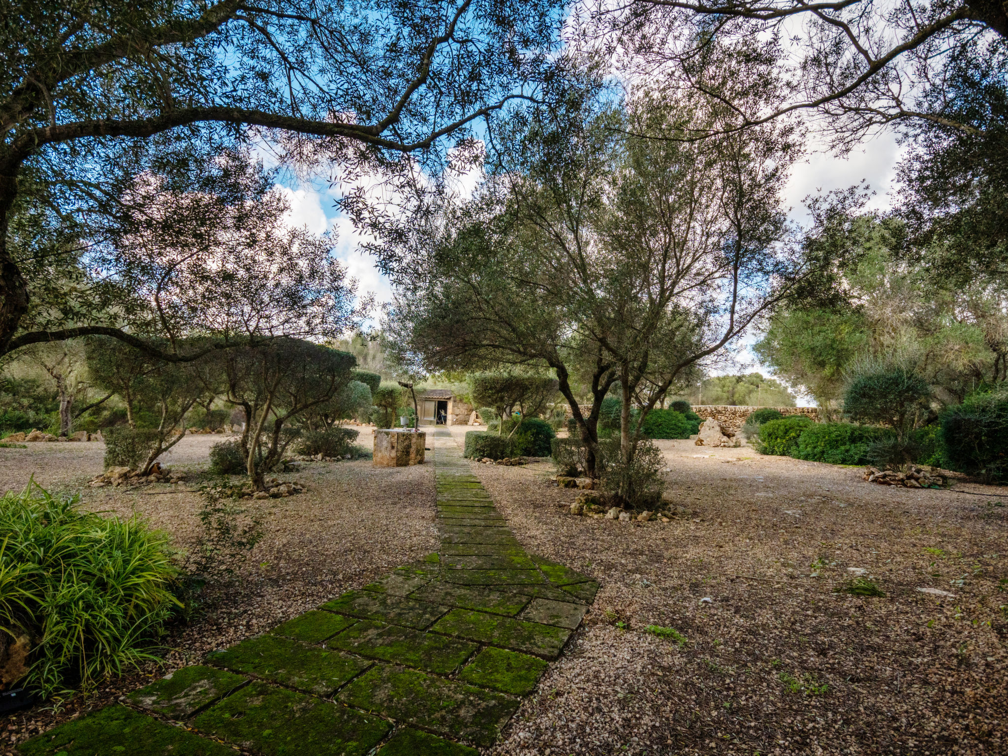 Photo 52 - Maison de 4 chambres à Llucmajor avec piscine privée et jardin