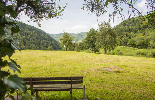 Apartamento de 2 quartos em Clos du Doubs - Foto 12