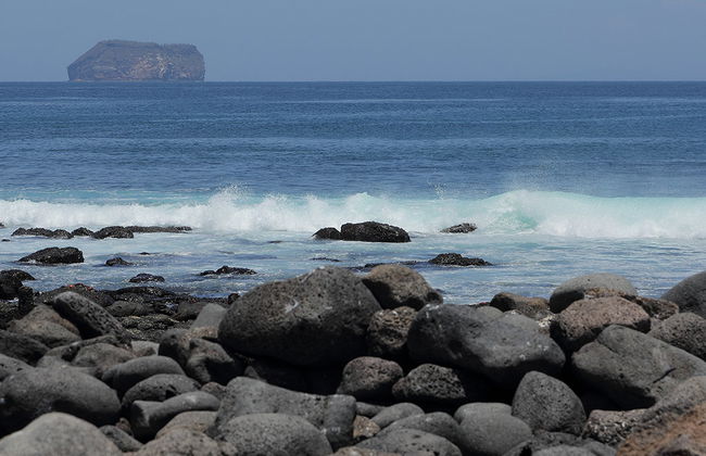 Ganztagesausflug nach North Seymour Island - Foto 3