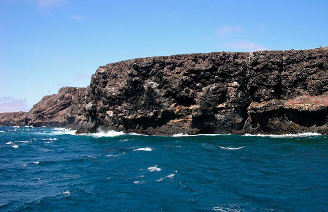 Ganztagesausflug nach North Seymour Island - Foto 2