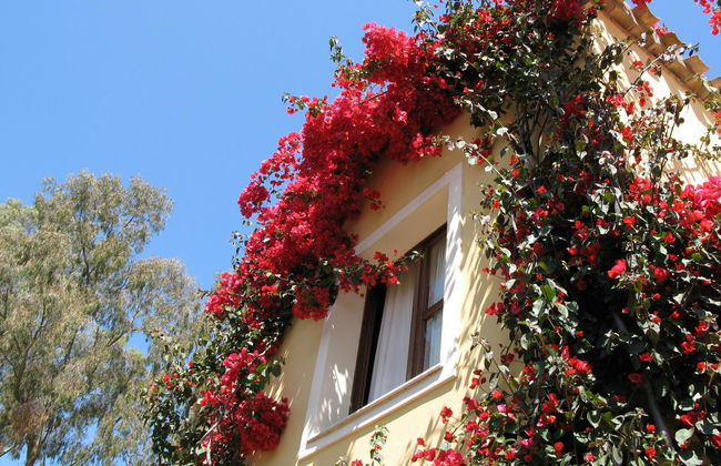 Borgo Degli Ulivi Residence - Foto 6