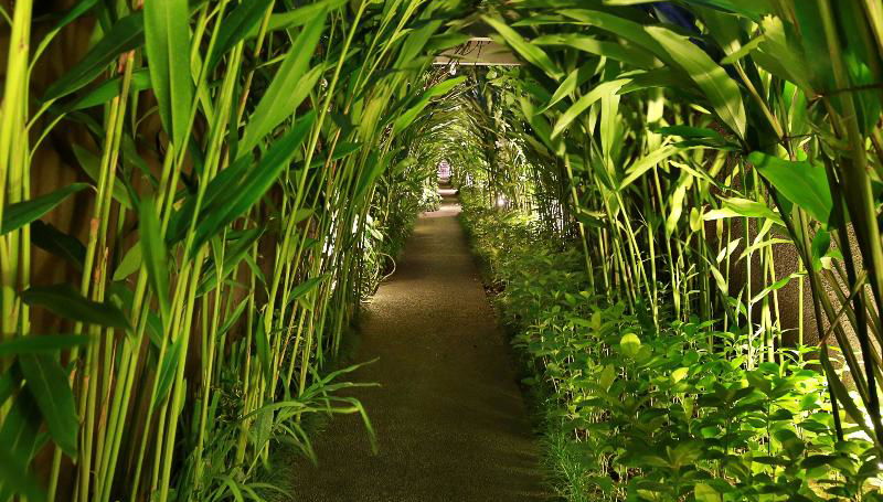 Ziva A Boutique Villa - Foto 1