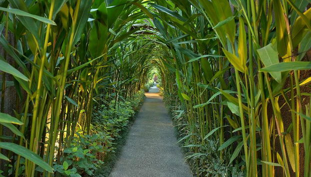 Ziva A Boutique Villa - Foto 3