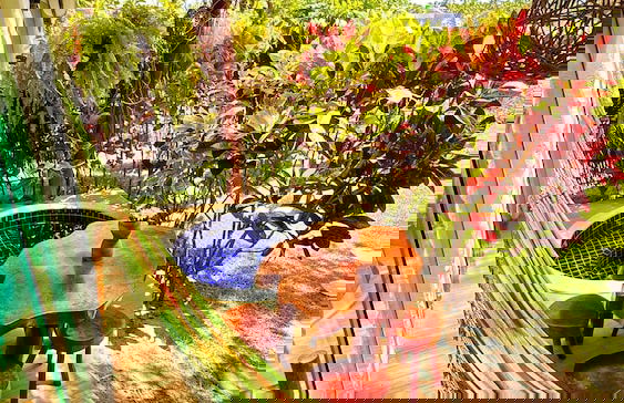 Bangatacho - Foto 35