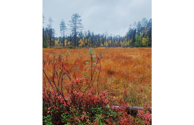 Haus mit 3 Schlafzimmern in Salla - Foto 1