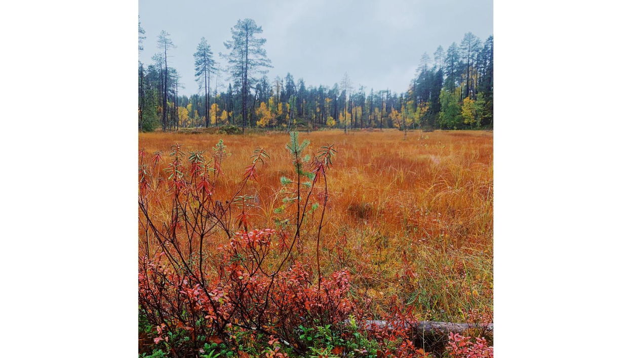 3 bedroom House in Salla - Photo 1