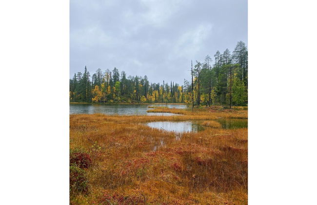 Haus mit 3 Schlafzimmern in Salla - Foto 27