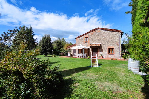 Foto 50 - Casa con 3 camere da letto a Montieri con piscina privata e giardino