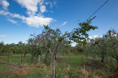 Foto 2 - Appartamento con 2 camere da letto a San Vito Chietino con giardino