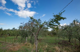 Foto 2 - Appartamento con 2 camere da letto a San Vito Chietino con giardino