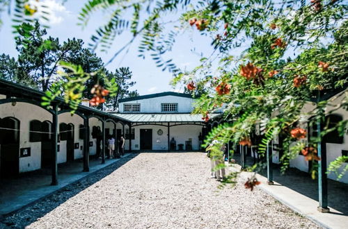 Foto 45 - Casa de 3 quartos em Alcácer do Sal com piscina privada e jardim