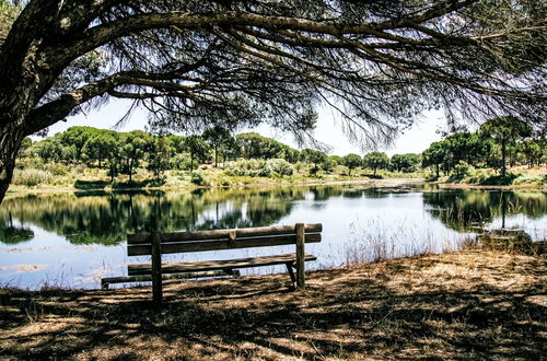 Foto 34 - Casa de 3 quartos em Alcácer do Sal com piscina privada e jardim