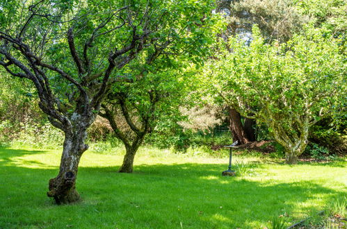 Photo 36 - 4 bedroom House in Inverness-Shire with garden and mountain view