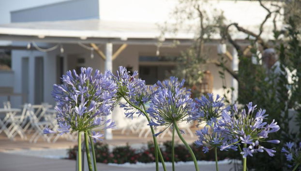 Livantea Agriresort & Residence - Foto 4