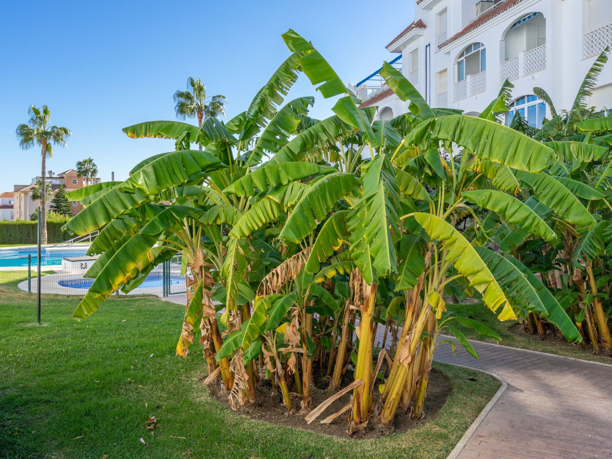 Photo 25 - 2 bedroom Apartment in Torremolinos with swimming pool and garden