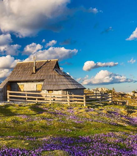 Foto de Excursión privada de día completo a Kamnik y Velika Planina desde Portorož/Piran