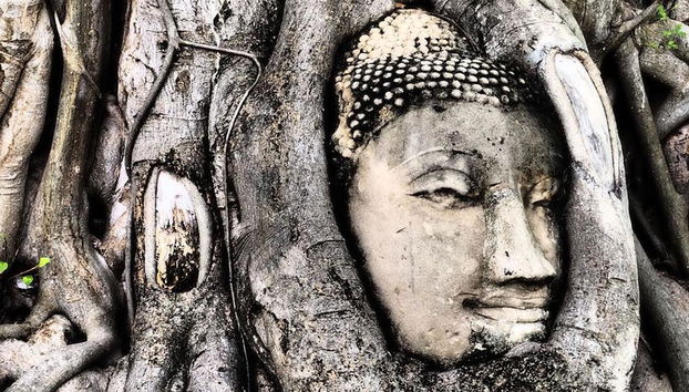 Puntos destacados de Ayutthaya en bicicleta - Foto 3