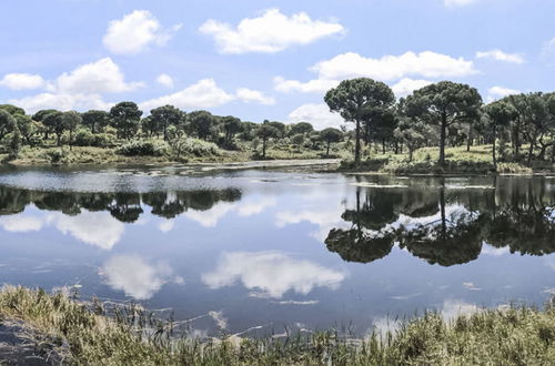 Foto 45 - Casa de 2 quartos em Alcácer do Sal com piscina e jardim