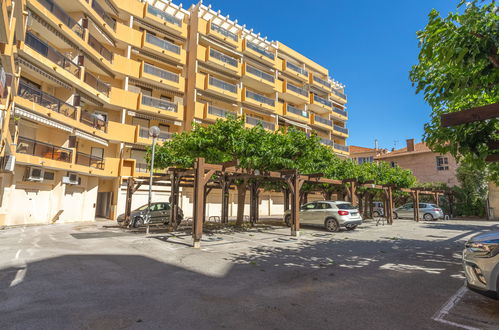 Photo 22 - 1 bedroom Apartment in Le Lavandou with terrace