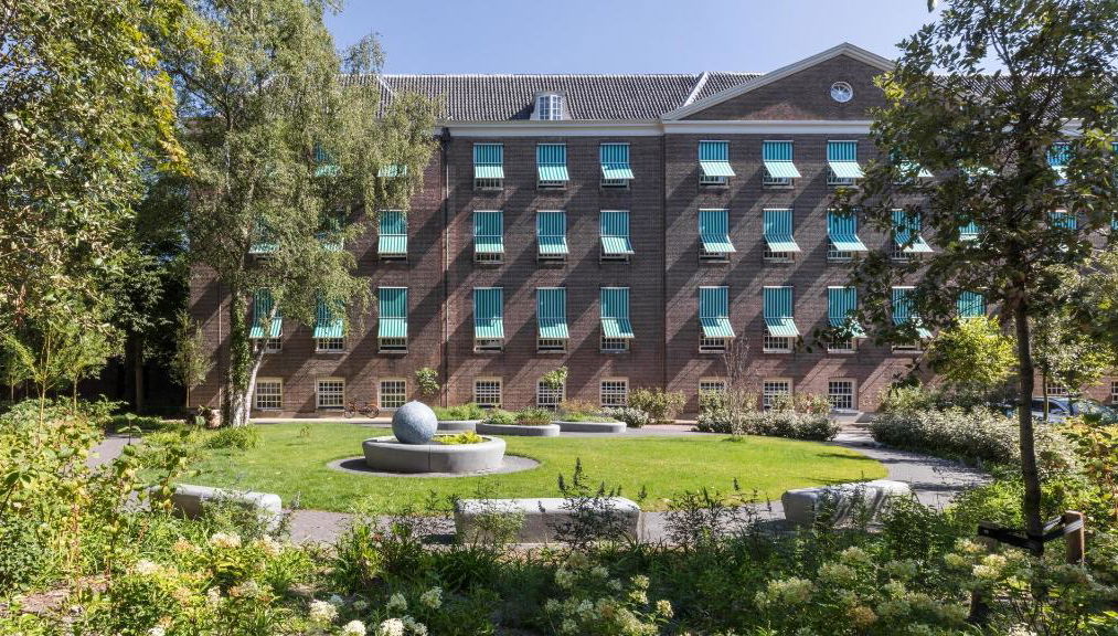 Wittenberg by Cove, Plantage - Foto 1