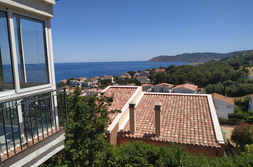 Foto 20 - Appartamento con 1 camera da letto a Llançà con vista mare