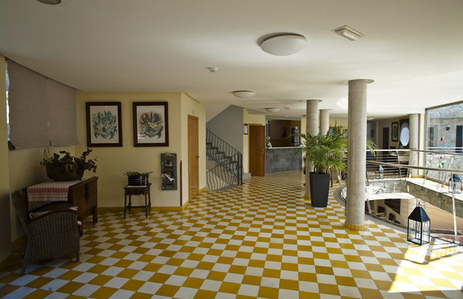Apartamentos Terraza de Amadores - Foto 8
