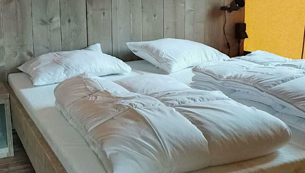 Haus mit 1 Schlafzimmer in Noord-Scharwoude mit schwimmbad und garten - Foto 5