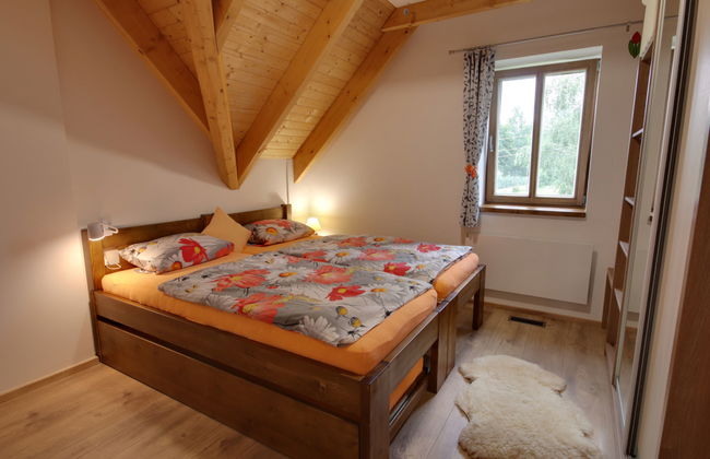 Apartamento de 4 quartos em Kořenov com jardim e terraço - Foto 3