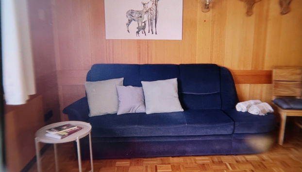 Casa de 4 quartos em Eisenbach (Hochschwarzwald) com jardim - Foto 5
